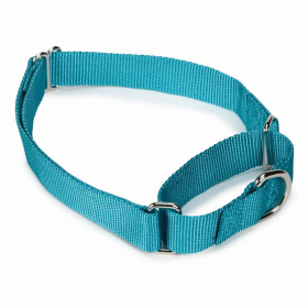 GG Nylon Martingale Collar for Dogs - 10 to 16 Inch - Black (Color: LIGHT BLUE, Size-Pack Of: 10-16In-1)