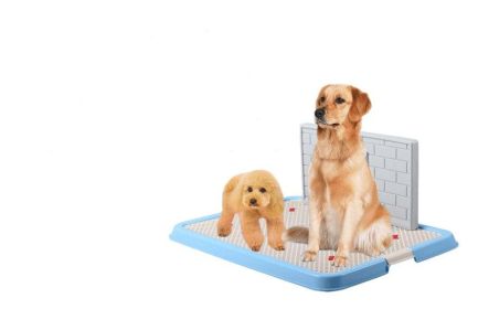 Dog Toilet Puppy Dog Supplies Teddy Dog Urinal Potty Golden Hair Puppies (Color-Style: Blue-Jxcw22Male, size: small)