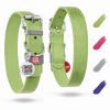 Long Lasting Leather Dog Collar for Large Dogs Medium Small Dogs 15 - 20 in Neck x 1 in Wide  Adjustable Classic Puppy Collars Boy & Girl Dog Collars