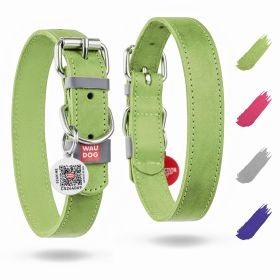 Long Lasting Leather Dog Collar for Large Dogs Medium Small Dogs 15 - 20 in Neck x 1 in Wide  Adjustable Classic Puppy Collars Boy & Girl Dog Collars (Color: Green)