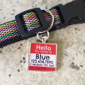 Hello Personalized Silver Dog ID Pet Tag (SHAPE: SQUARE, HELLO CENTER DESIGN COLOR: EGGPLANT)