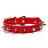 Studded Dog Collar With Rivet Design