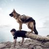 Tactical Dog Harness With Detachable Pouches