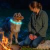 USB Rechargeable LED Dog Collar Multi-Color Lighting Dog Safety Collar Cuttable Length Glow Dog Collar For Small Medium Large Dog Night Walking