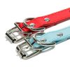 Studded Dog Collar With Rivet Design